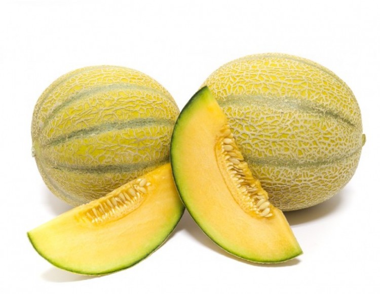 Muskmelon 