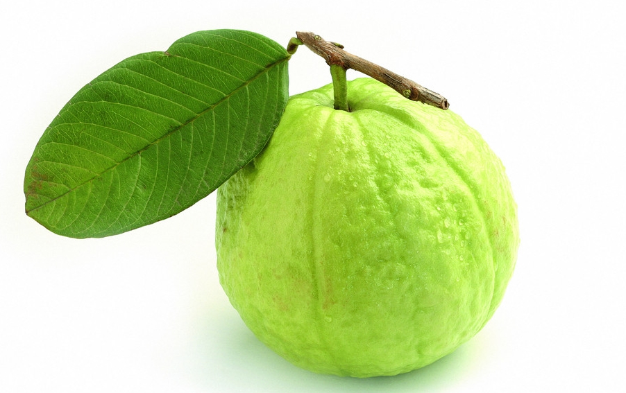 Guava