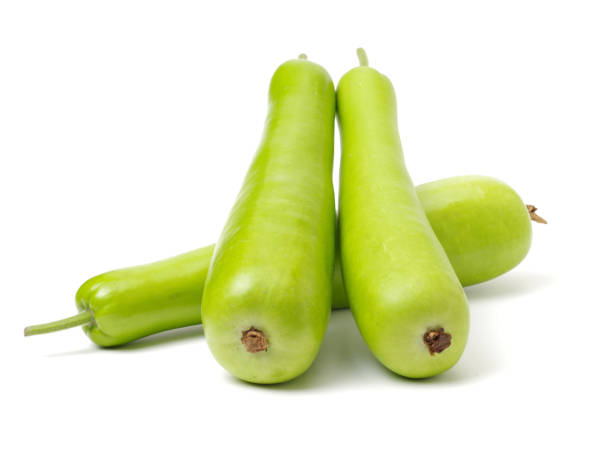 Bottle Gourd Hybrid-Veg03