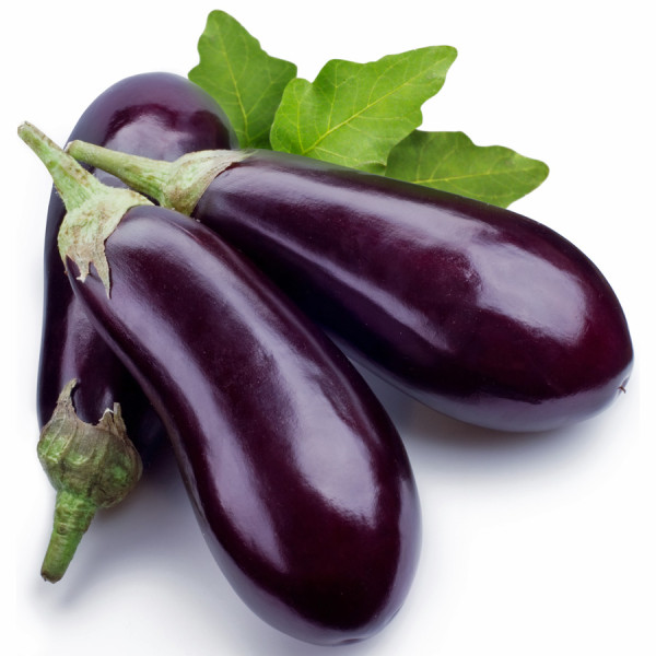 Brinjal Hybrid-Veg04