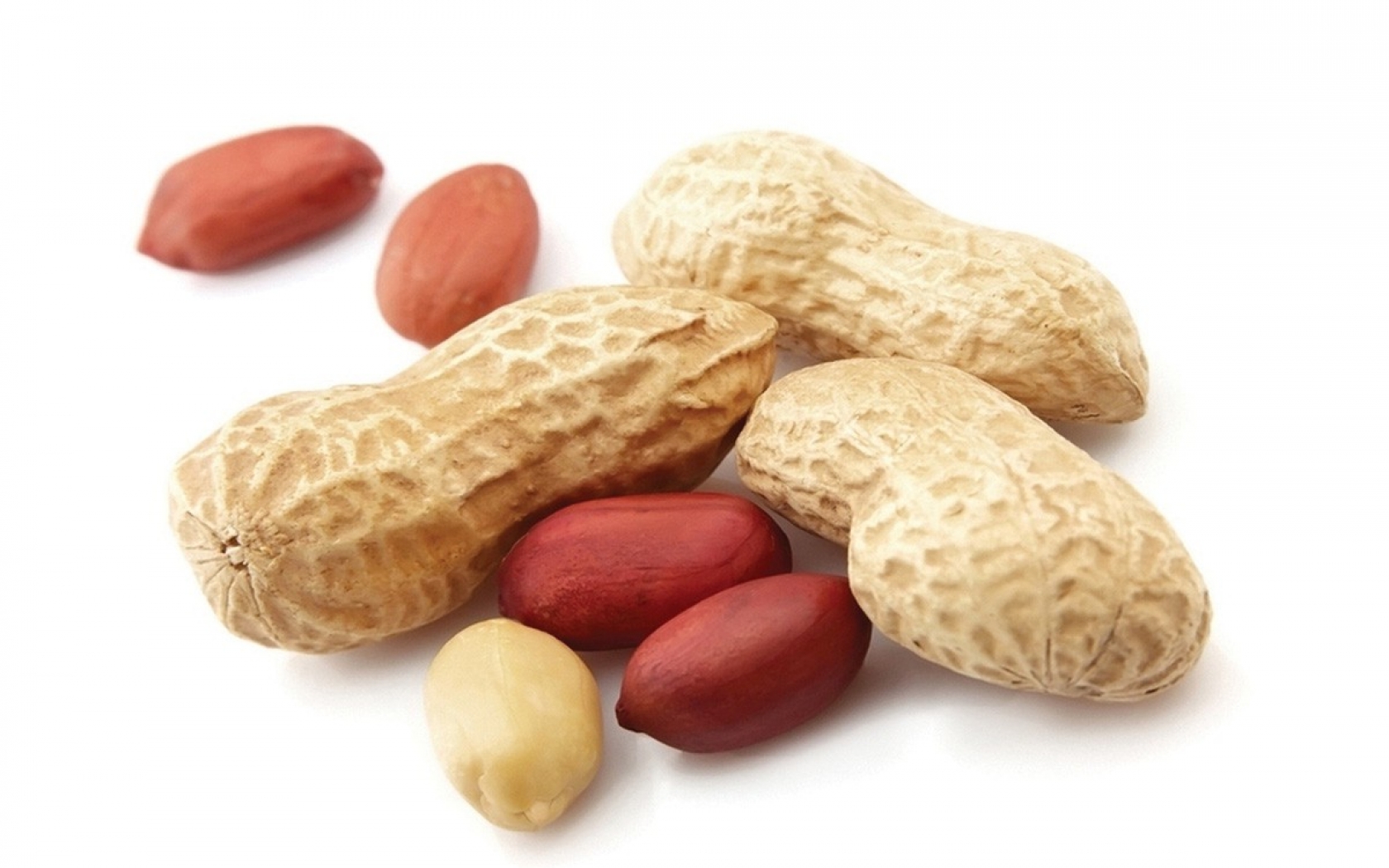 Ground Nut-Ground Nut03